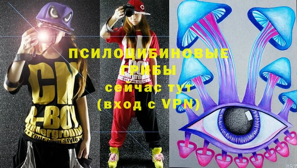 круглые Арсеньев