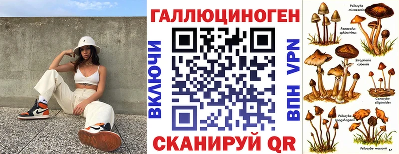 Псилоцибиновые грибы GOLDEN TEACHER  цены   Долгопрудный 