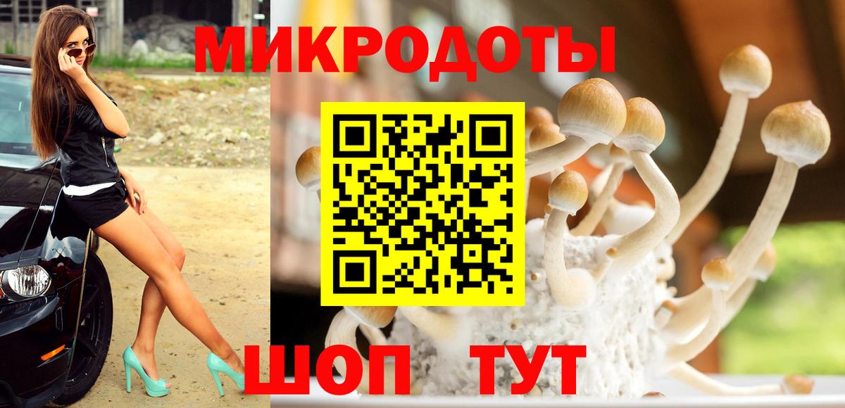Галлюциногенные грибы прущие грибы  Псилоцибиновые грибы Magic Shrooms  Вход с VPN  Долгопрудный 